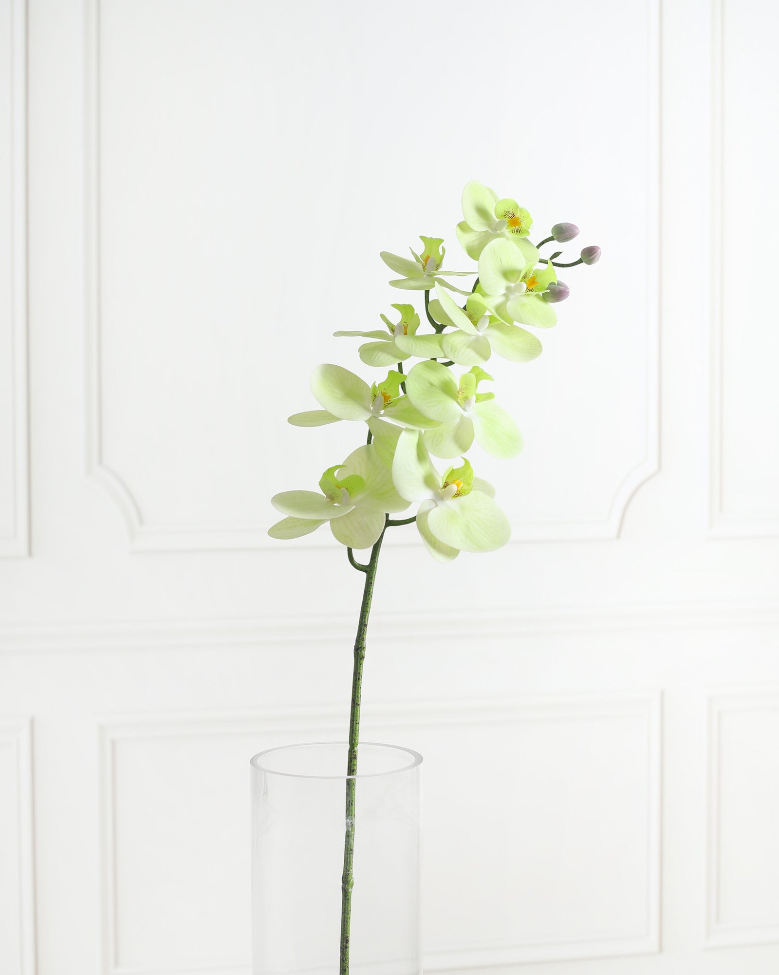 Artificial Real Touch Phalaenopsis Orchid Flower Stem – Green