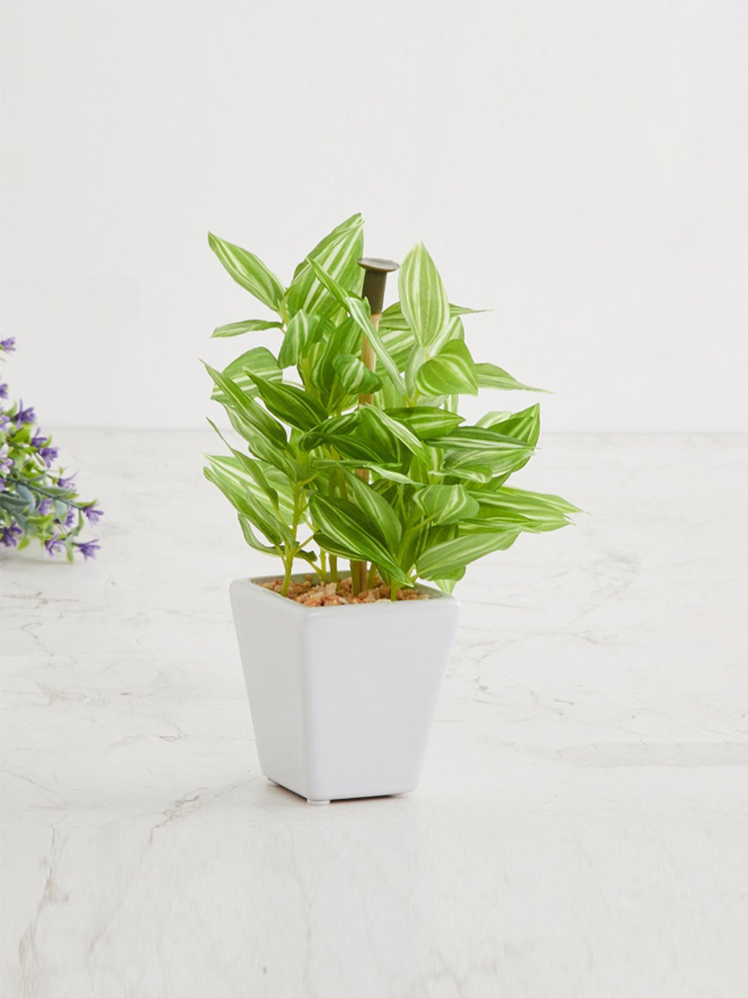 Deco World  Artificial Wandering Potted Plant in Ceramic Pot (19 cm Tall)