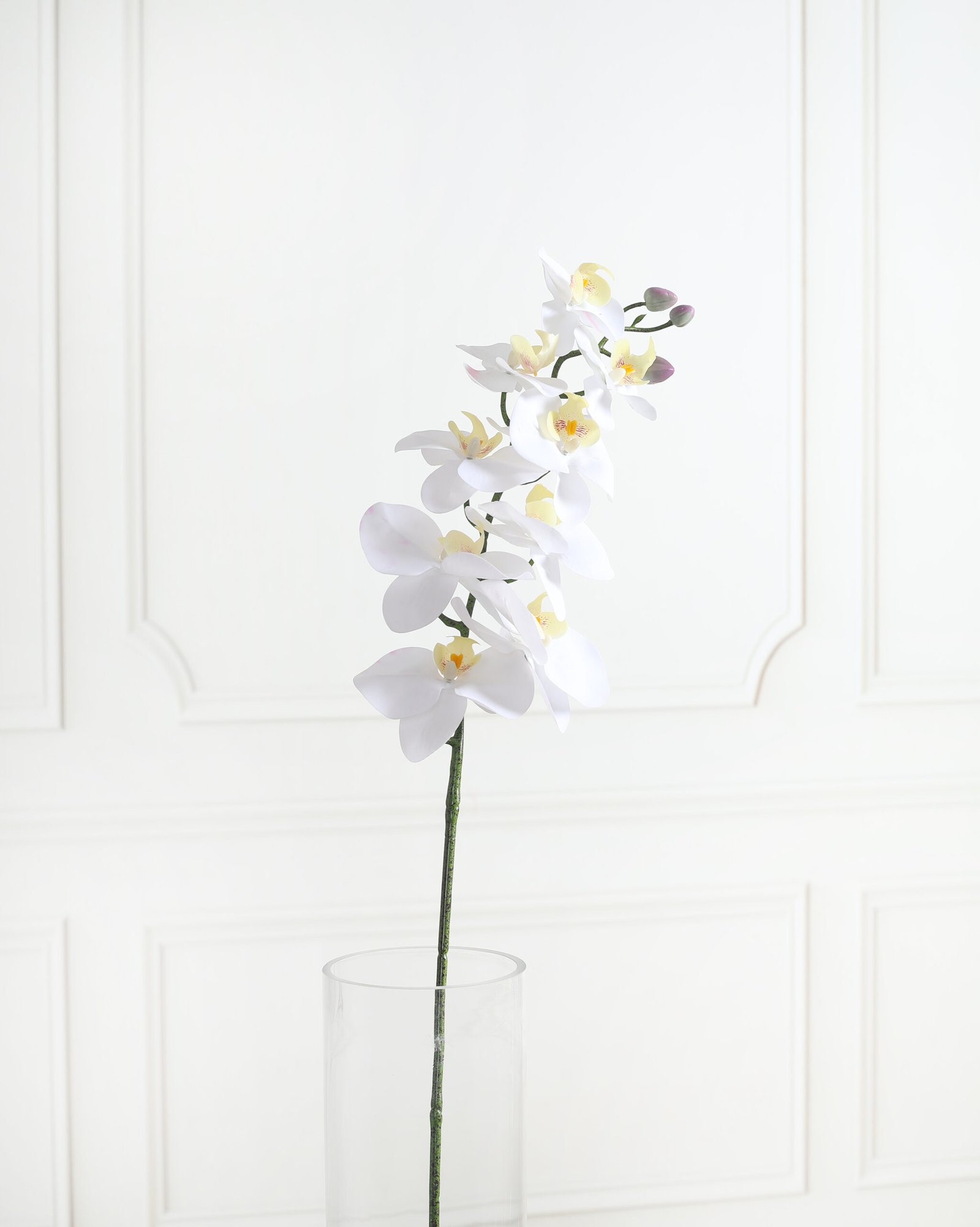 Artificial Real Touch Phalaenopsis Orchid Flower Stem – White