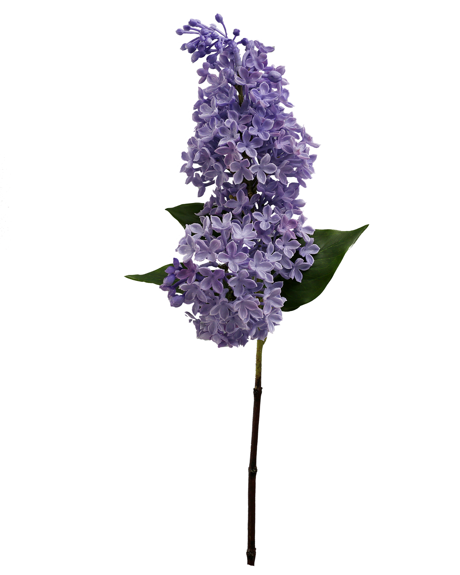 Artificial Real Touch Lilac Flower Stem – Purple