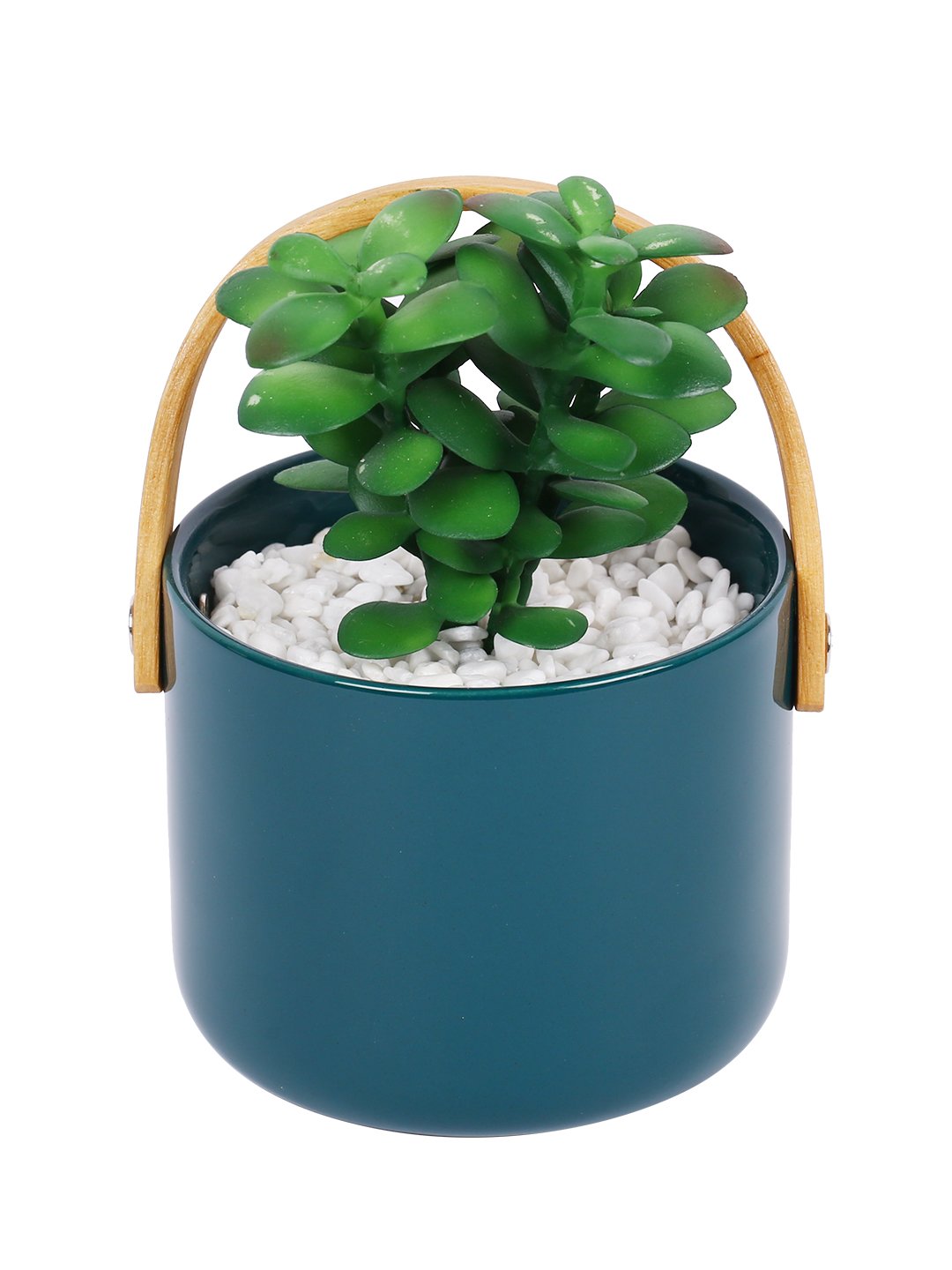 Deco World Cute Succulent Plant in Ceramic Pot with Handle (16.5 cm Tall)