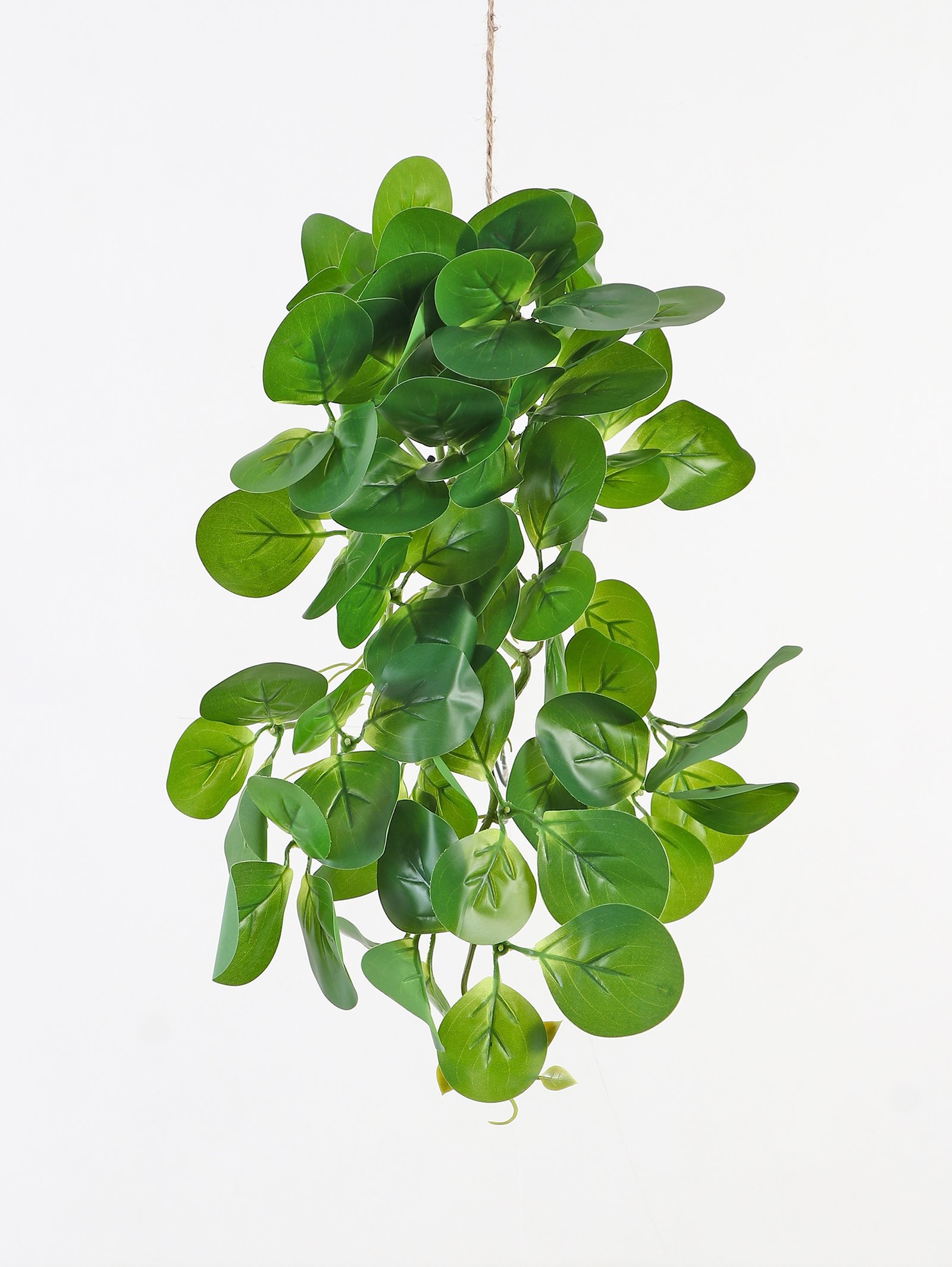 Artificial Peperomia Green Creeper Leaves for Home Decor – 50 cm