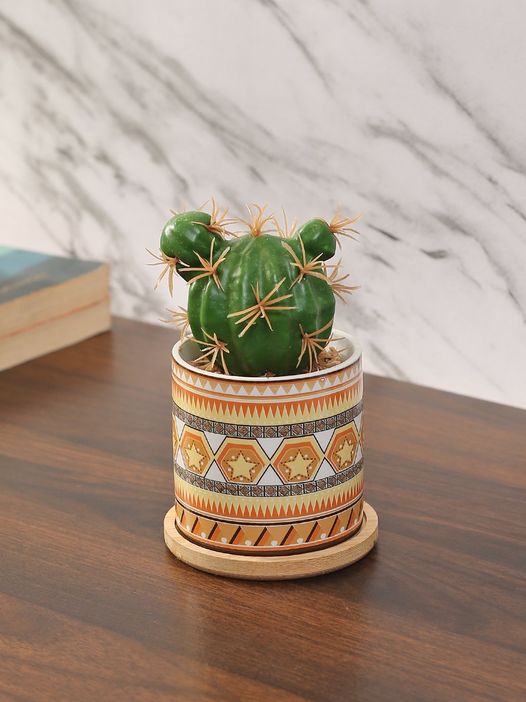 Deco World Stylish Succulent Plant with Printed Ceramic Vase (13.5 cm Tall)