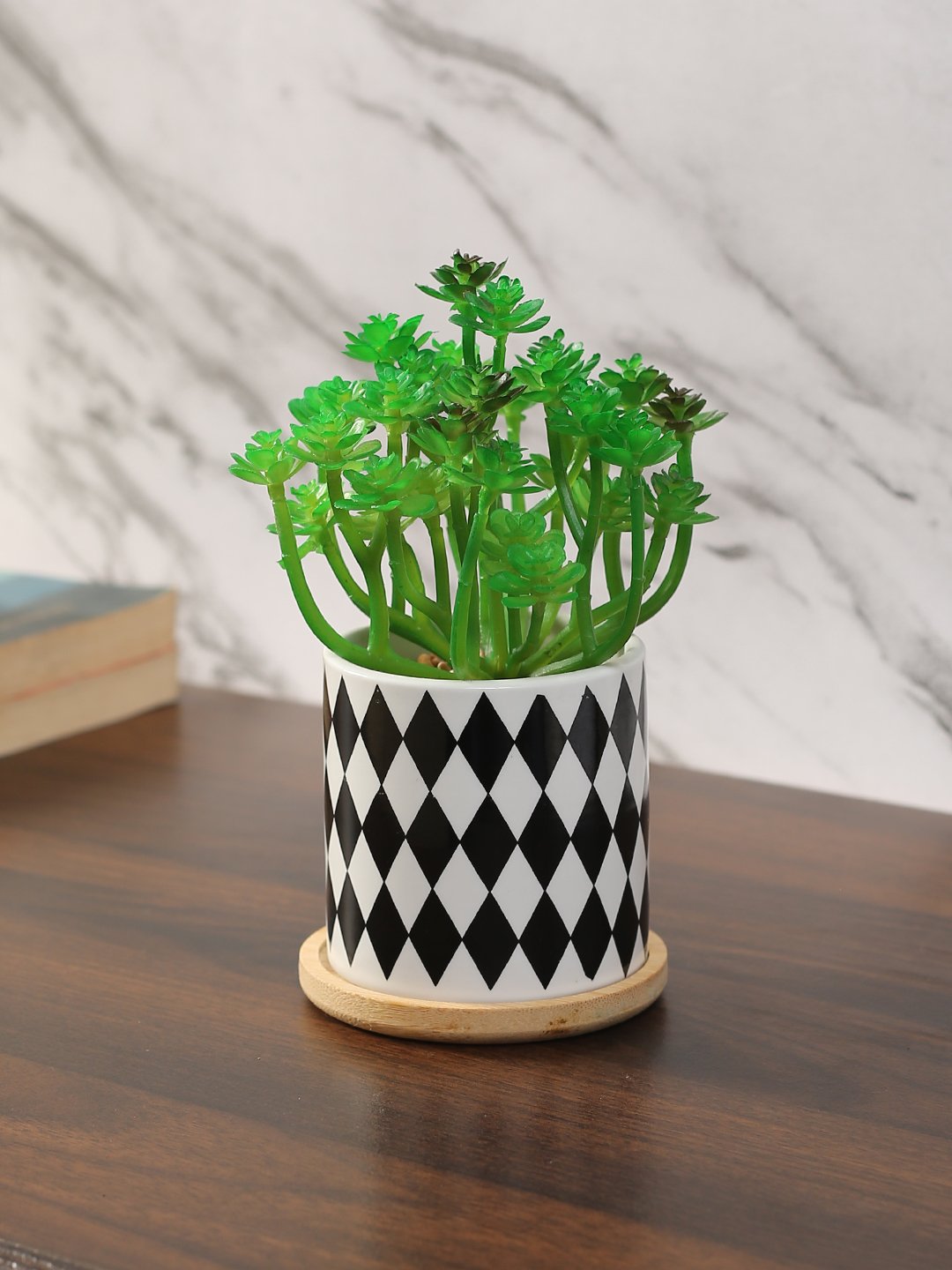 Deco World Stylish Succulent Plant with Printed Ceramic Vase (17 cm Tall)