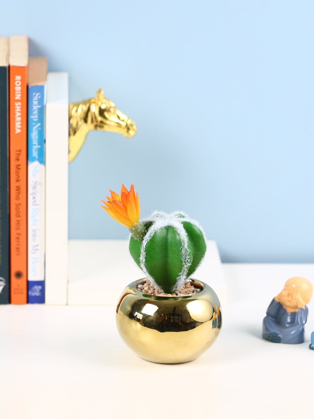 Deco World  Stylish Succulent Plant with Round Pot (17 cm Tall)