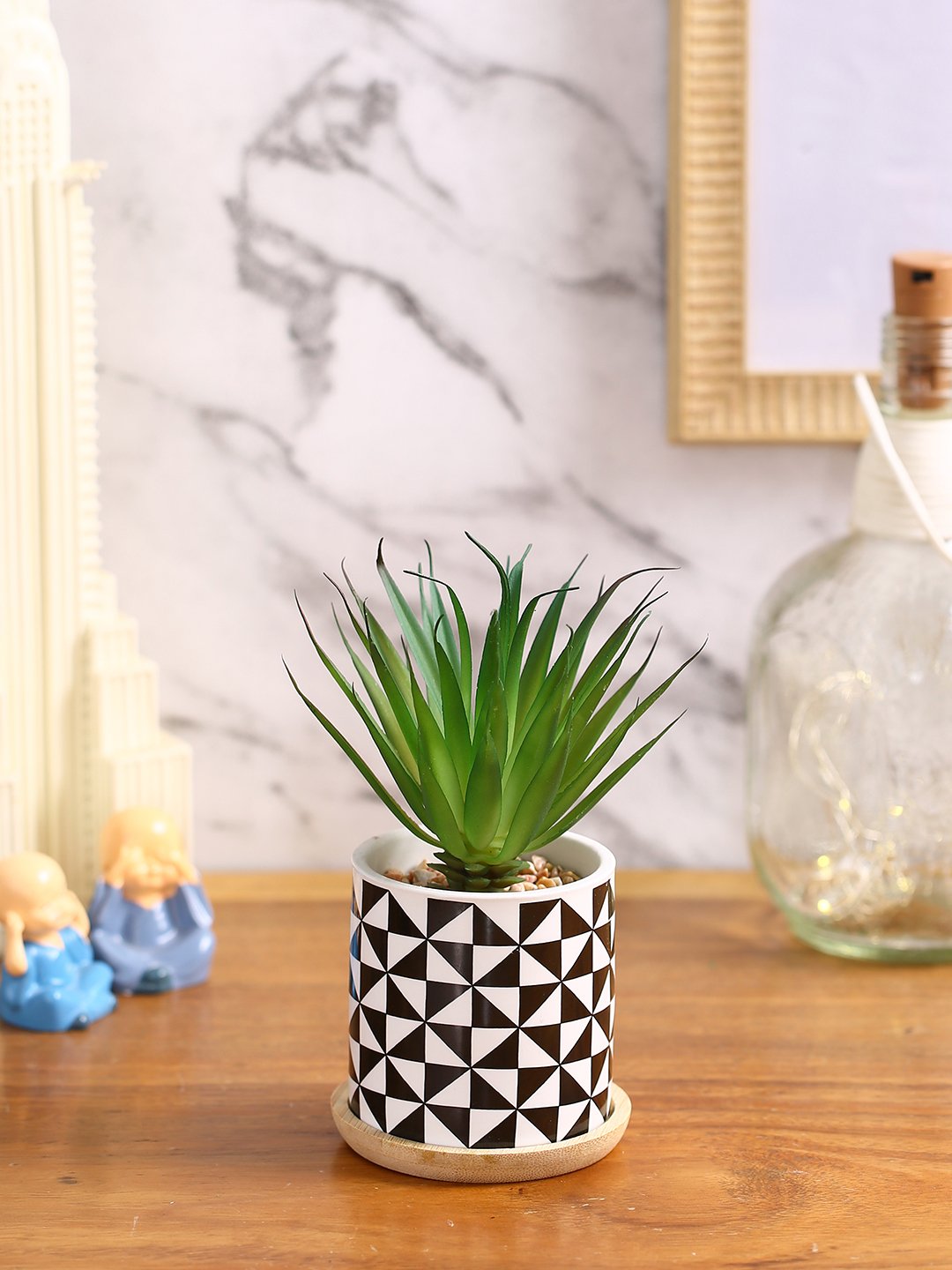 Deco World  Stylish Succulent Plant with Printed Ceramic Vase (17.5 cm Tall)