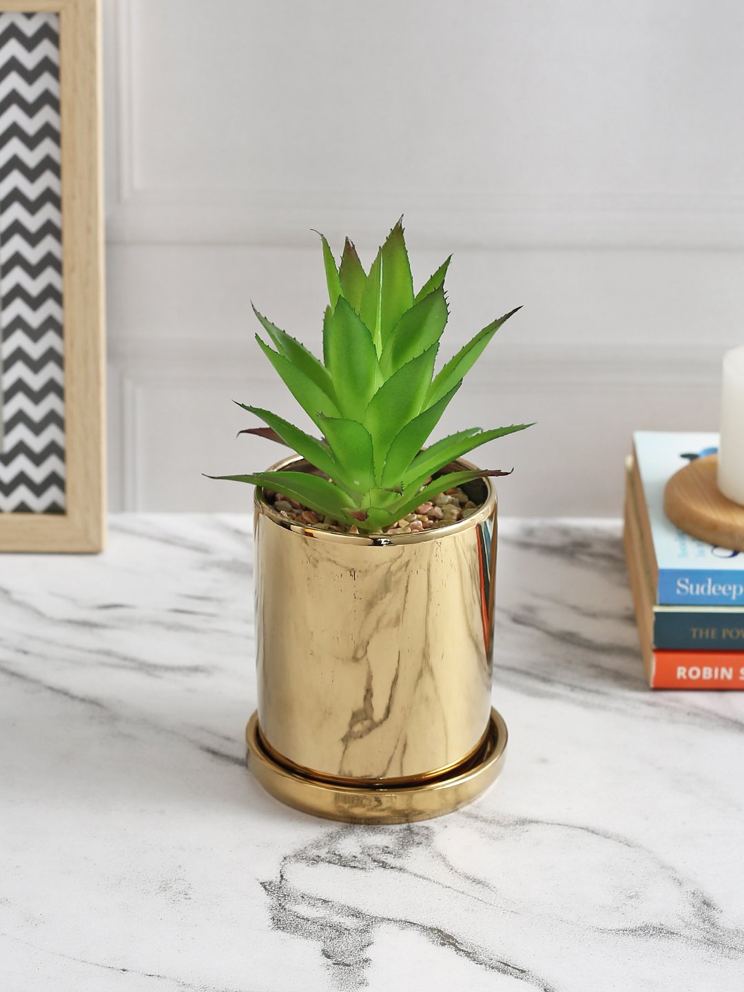 Deco World Stylish Succulent Plant with Golden Coaster (19.5 cm Tall)