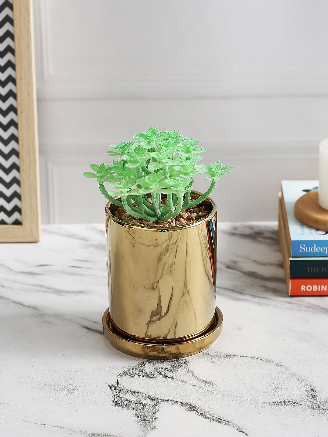 Deco World Stylish Succulent Plant with Golden Coaster (15.5 cm Tall)