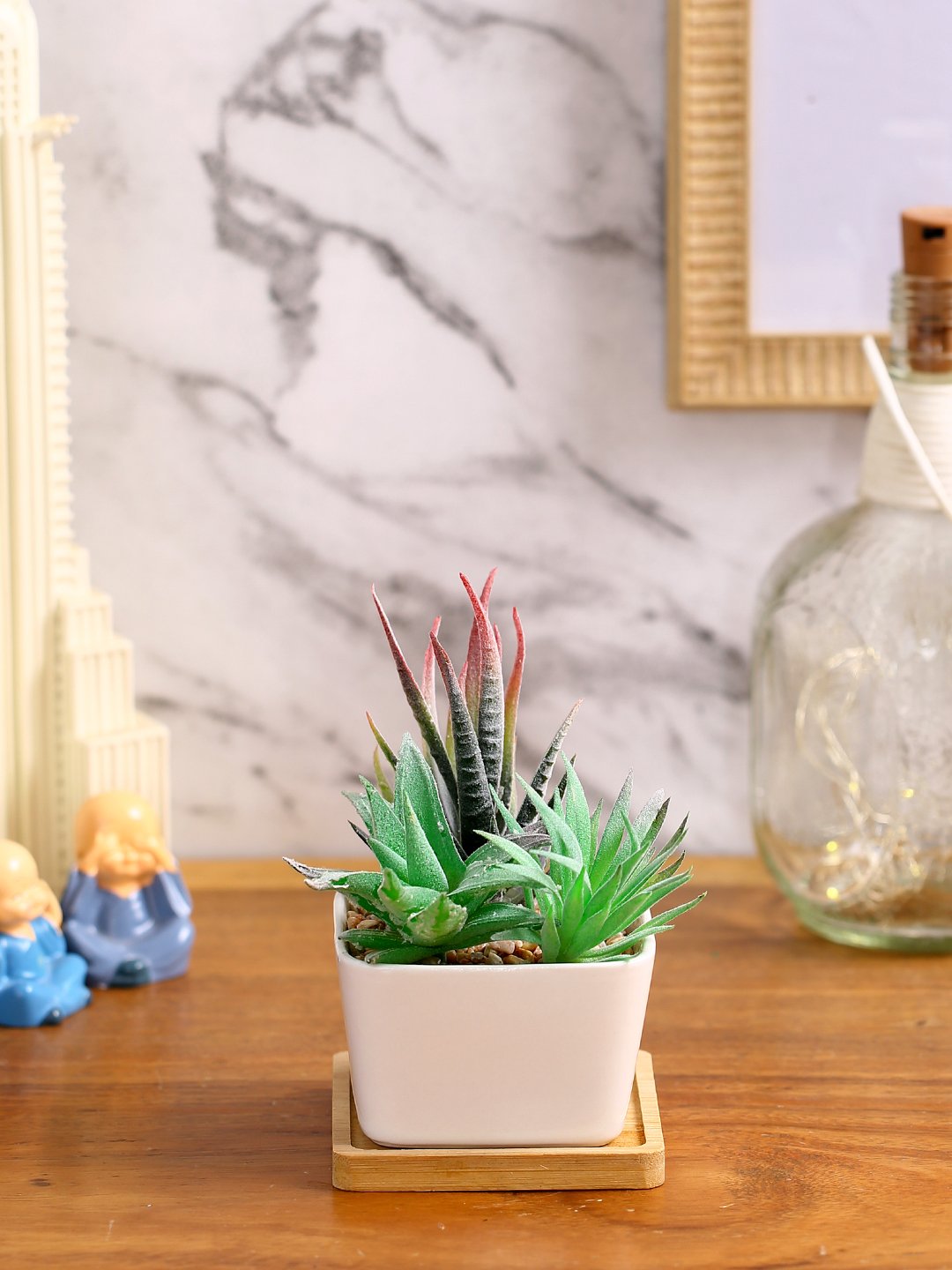 Deco World Premium Succulent Plant with Wooden Coaster (14.5 cm Tall)