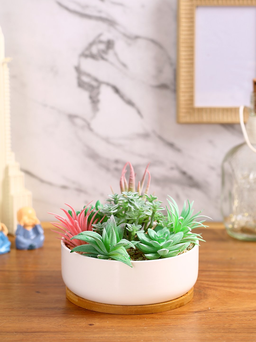 Deco World Premium Succulent Plant with Wooden Coaster (14 cm Tall)