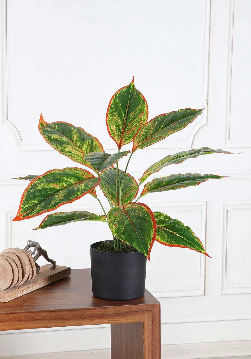 Deco World Artificial Taro Plant – 2 Feet