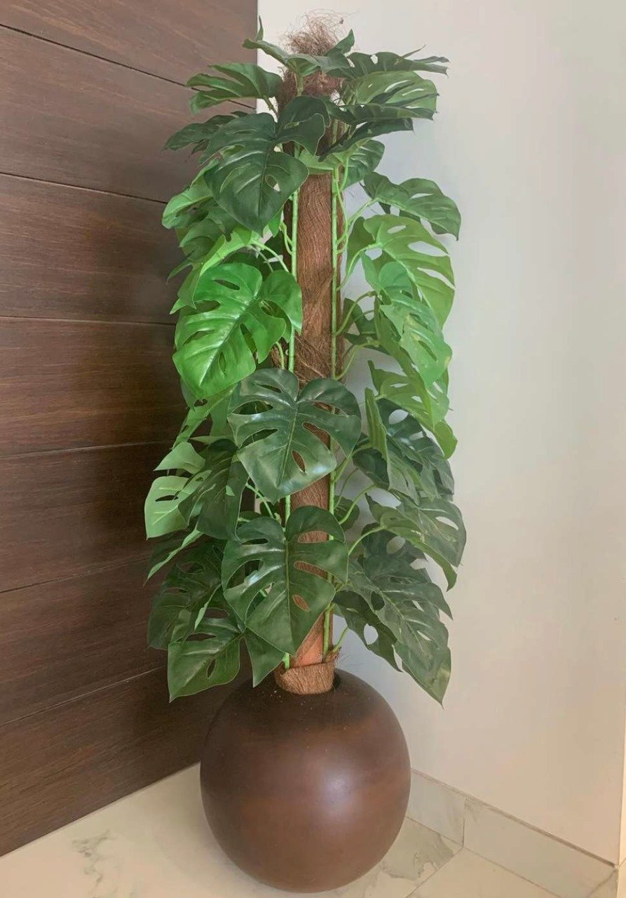 Deco World Artificial Plant on Moss Pole – 3.7 Feet