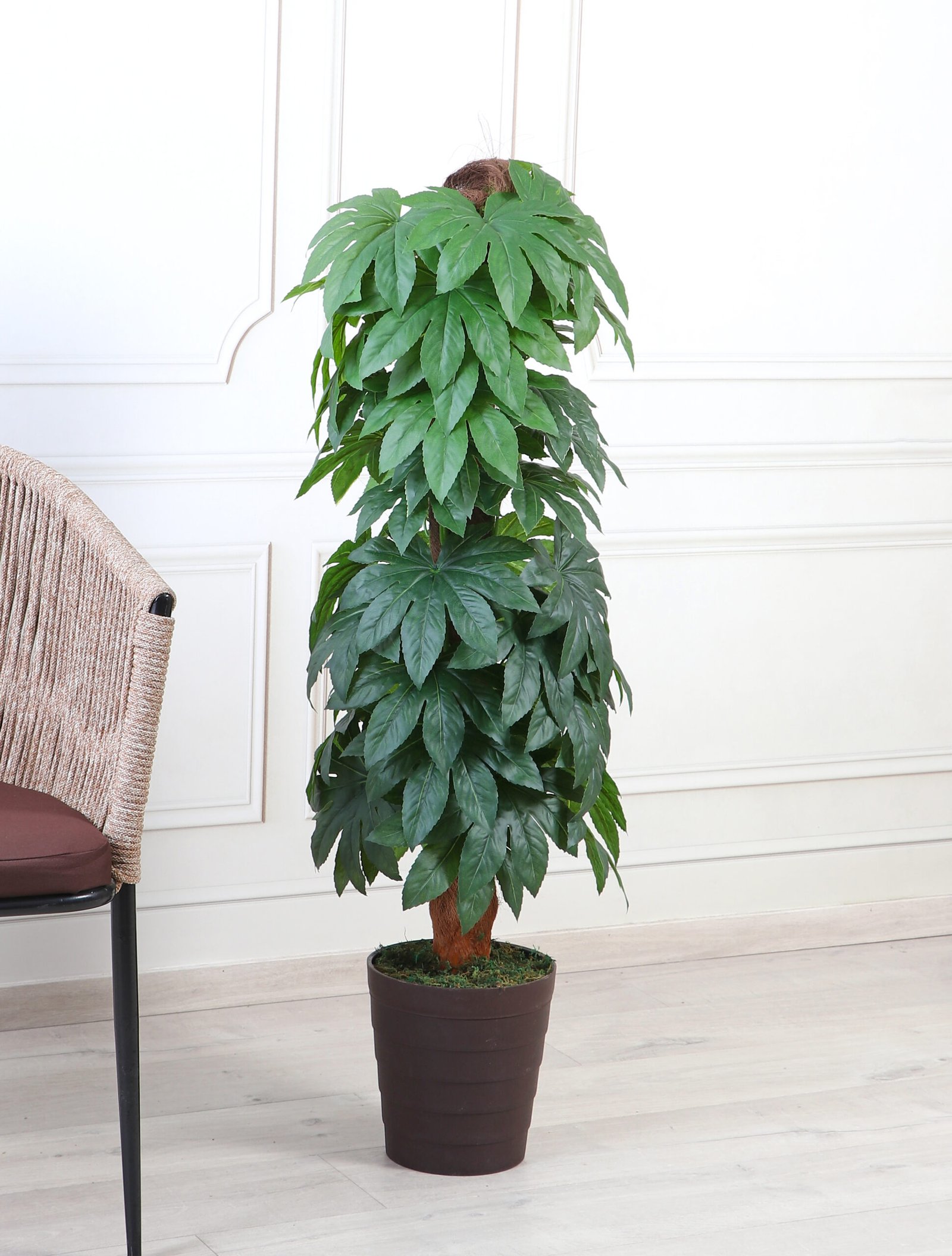 Deco World Artificial Plant on Moss Pole – 3.7 Feet