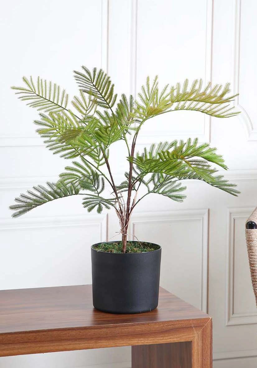 Deco World Artificial Mimosa Plant – 2.2 Feet