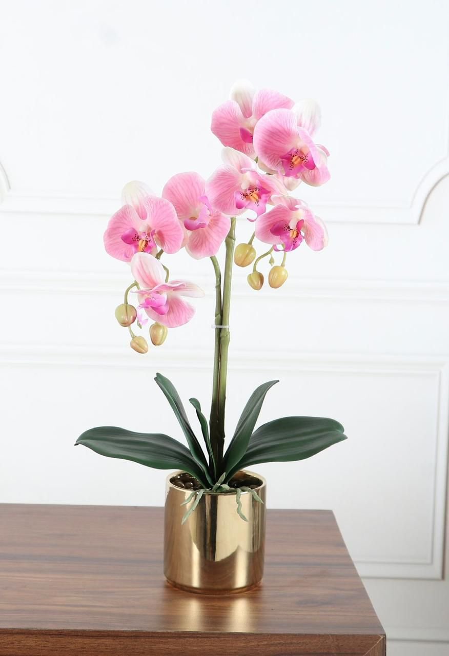 Artificial Real Touch Orchid with Ceramic Pot – 1.5 Feet, Pink