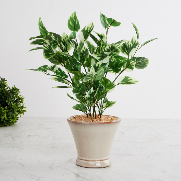 Deco World Pothos Plant in Ceramic Pot (42 cm Tall)