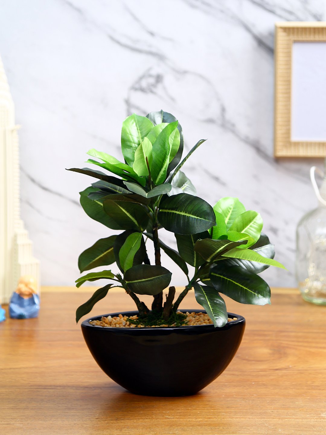 Deco World Quercus Plant in Ceramic Pot (29 cm Tall)