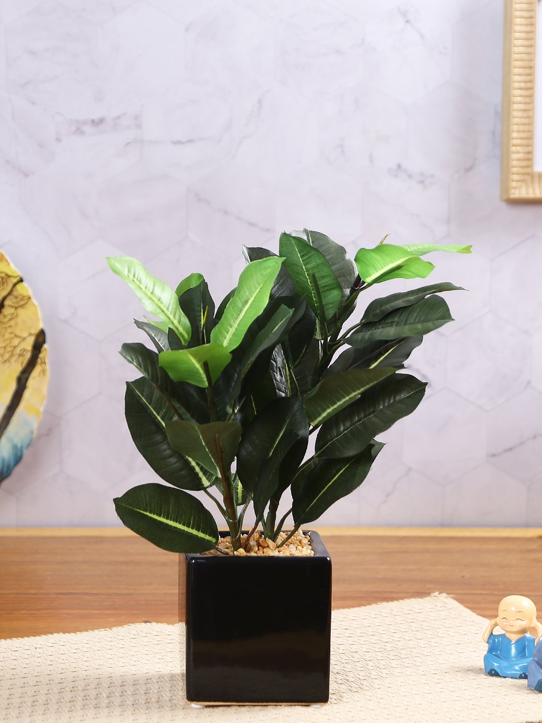 Deco World Quercus Plant in Ceramic Pot (31 cm Tall)