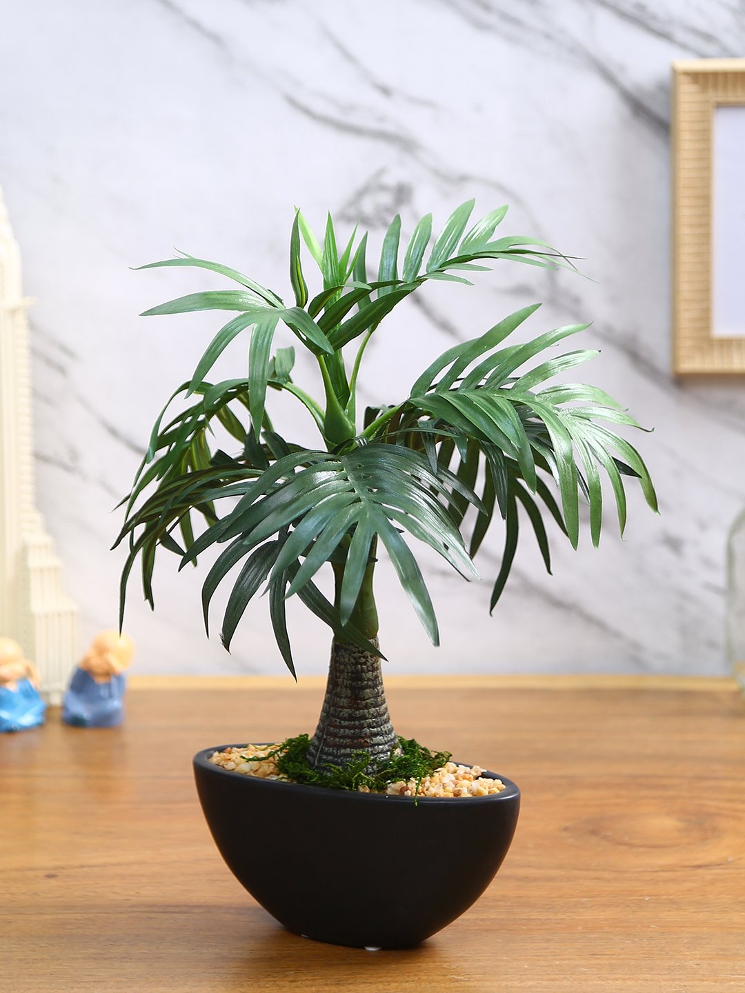 Deco World Roystonea Plant in Ceramic Pot (32 cm Tall)