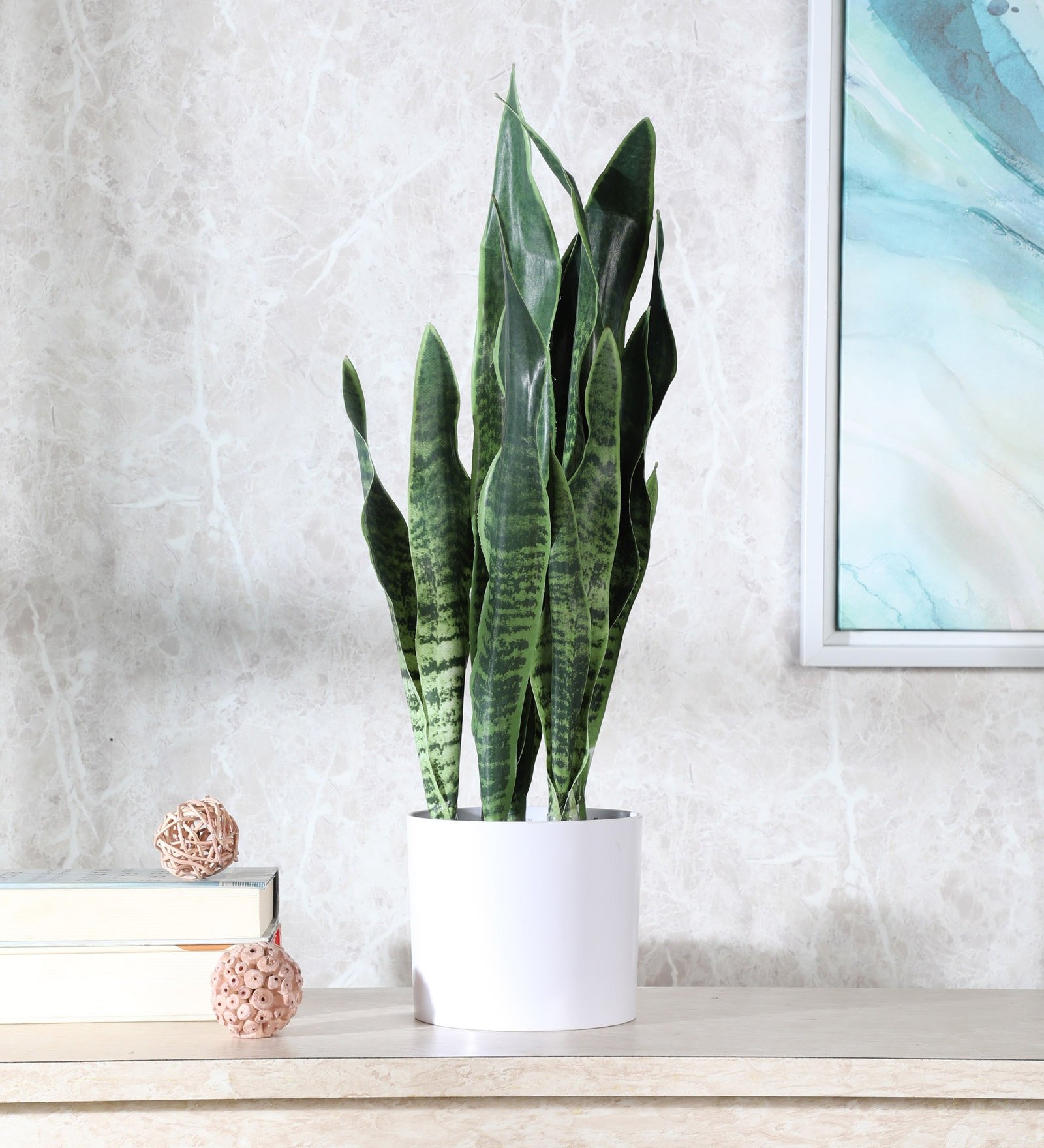 Deco World Snake Plant in Plastic Pot (65 cm Tall, Dark Green)