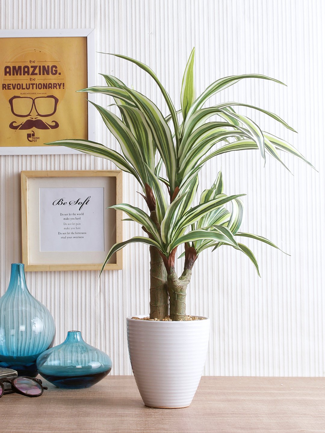 Deco World Dracaena Plant in Ceramic Pot (54 cm Tall)