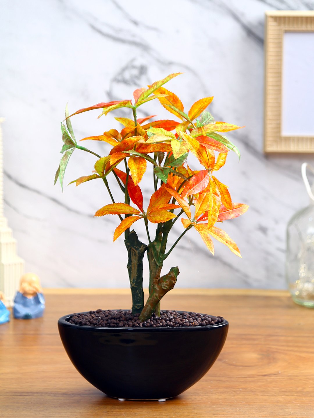 Deco World Japanese Maple Plant in Ceramic Pot (32 cm Tall)