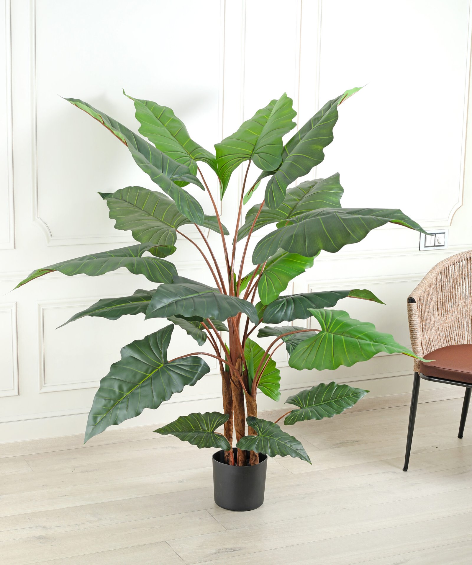 Artificial Alocasia Plant – 5.5 Feet Tall