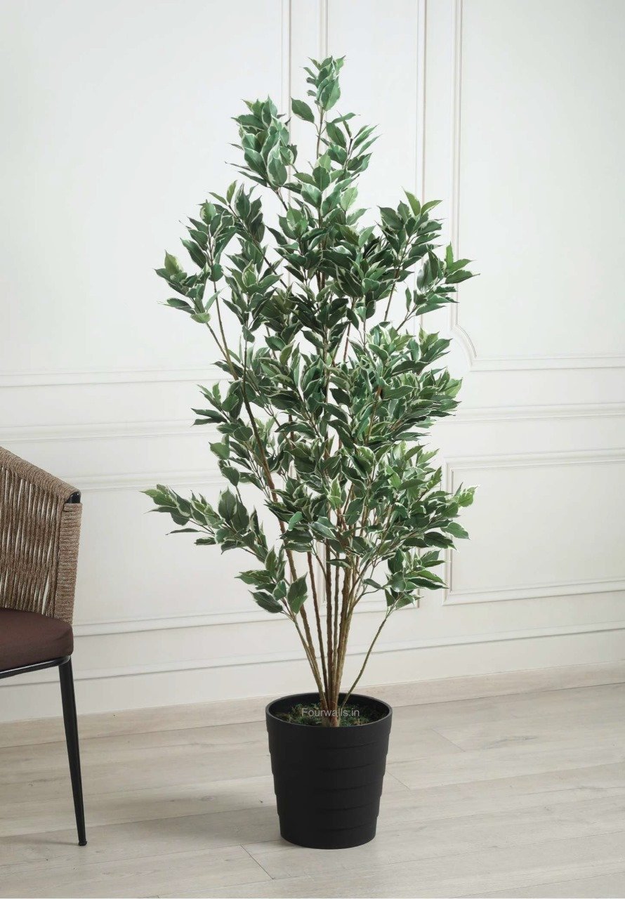 Deco World Artificial Variegated Ficus Plant – 5 Feet