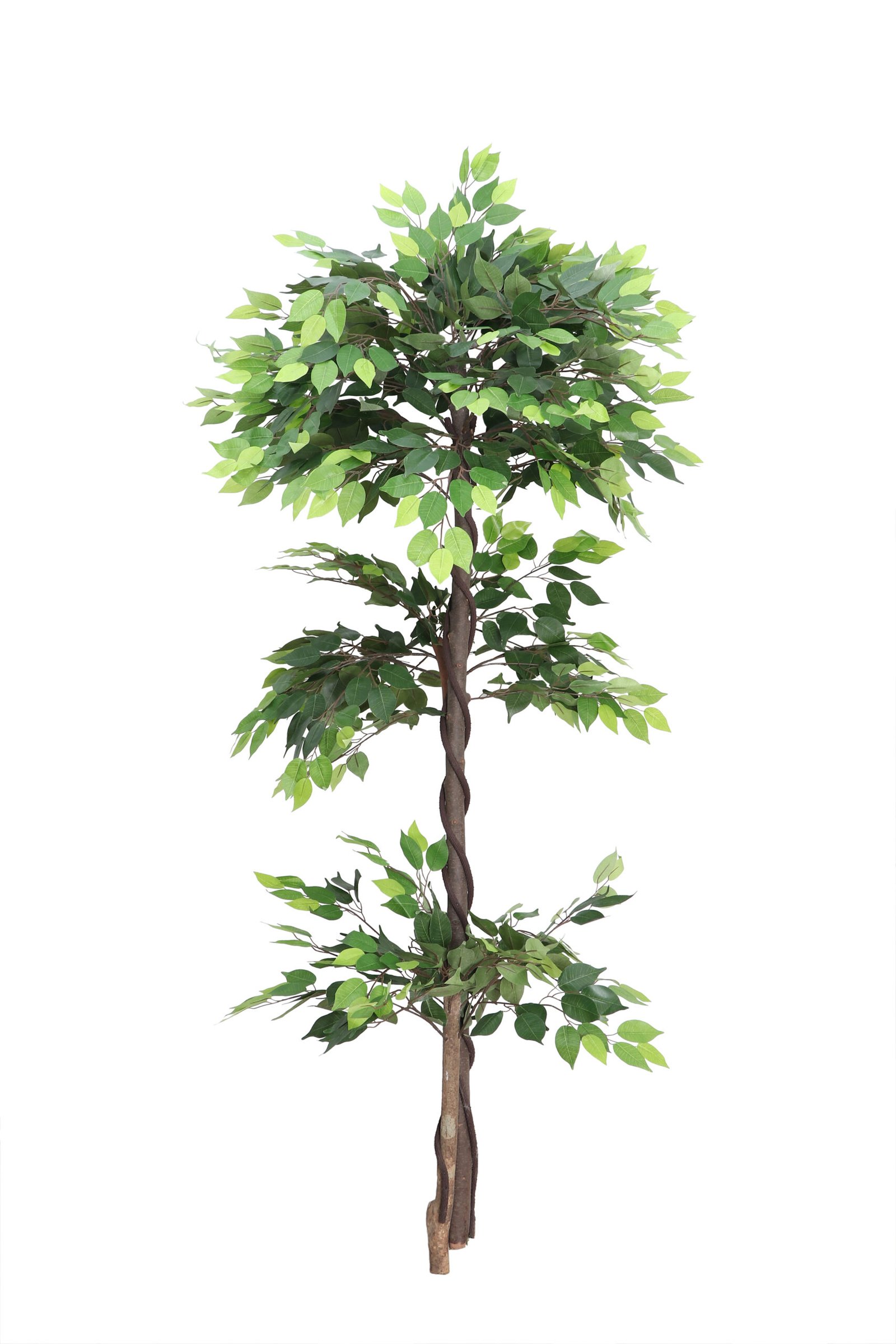 Deco World  Artificial Ficus Topiary Plant with Natural Wooden Trunk – 5.7 Feet
