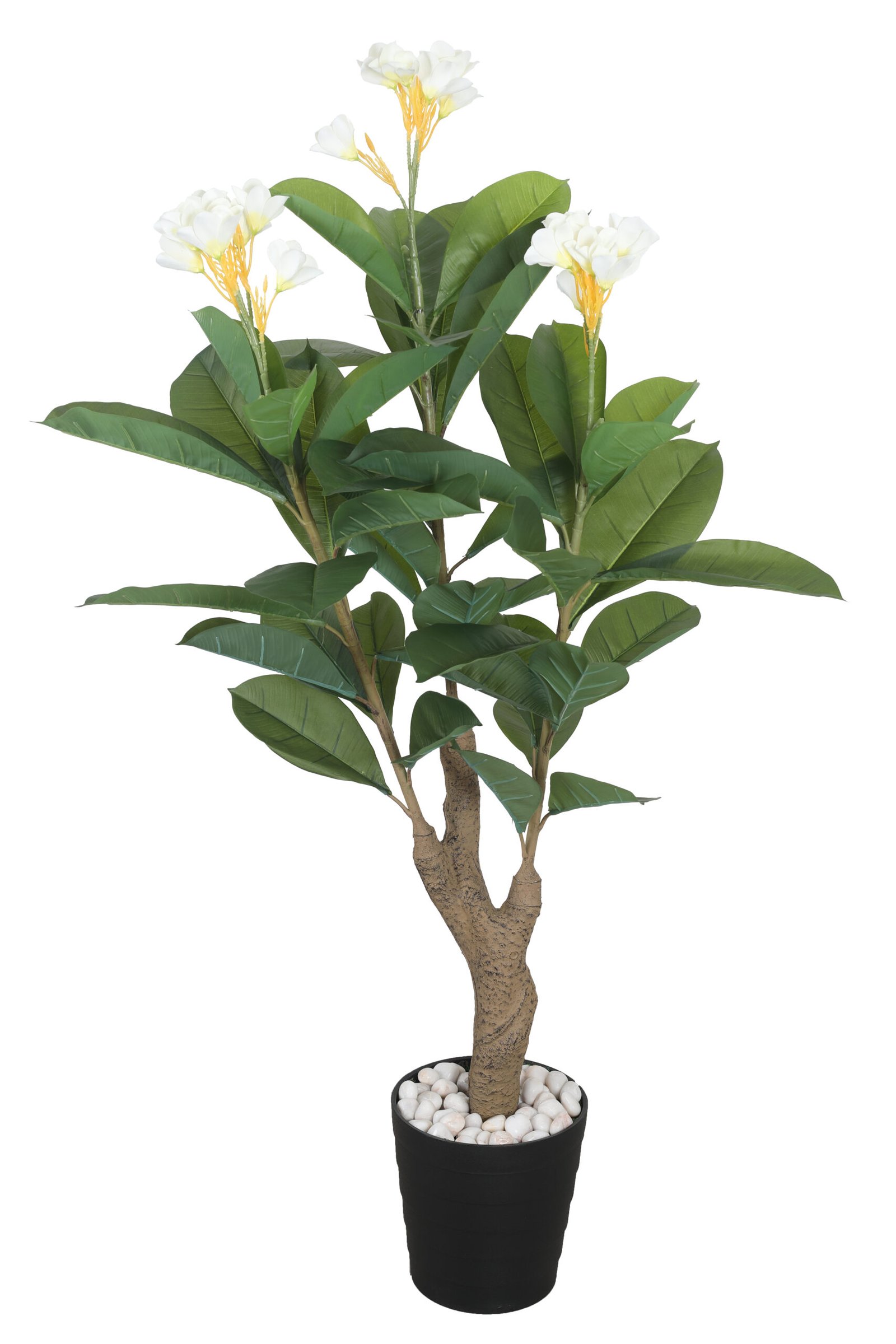 Deco World  Artificial Frangipani Plant – 5 Feet