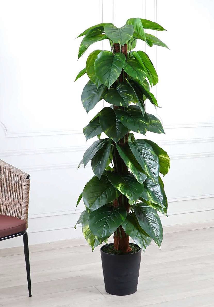 Deco World Artificial Money Plant on Moss Pole – 5 Feet