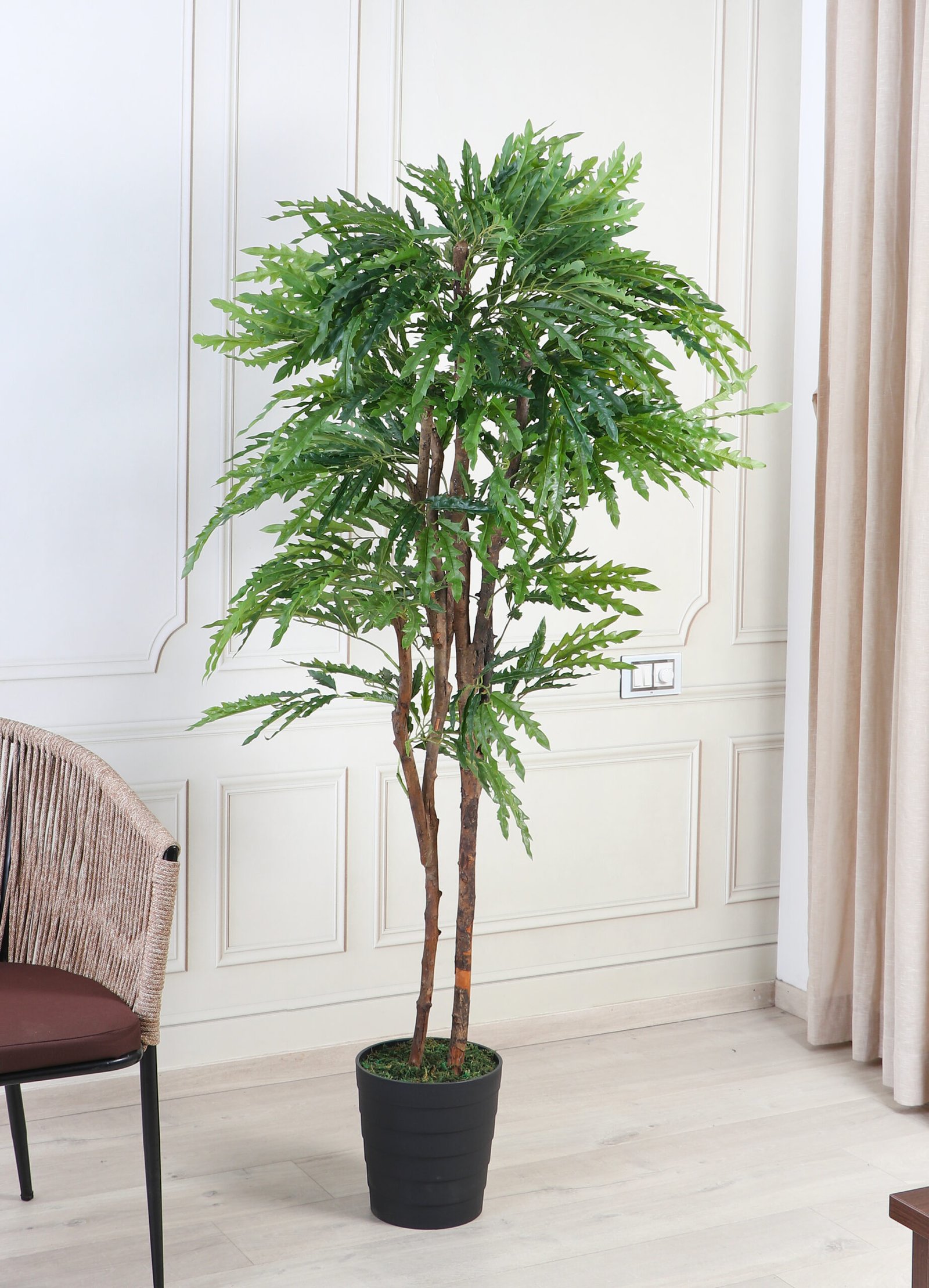 Deco World Artificial Plerandra Tree – 6 Feet