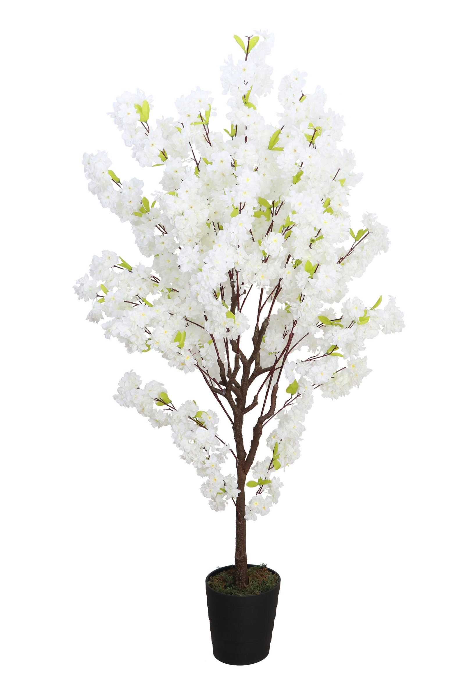 Deco World Artificial Cherry Blossom Tree – 6 Feet, White