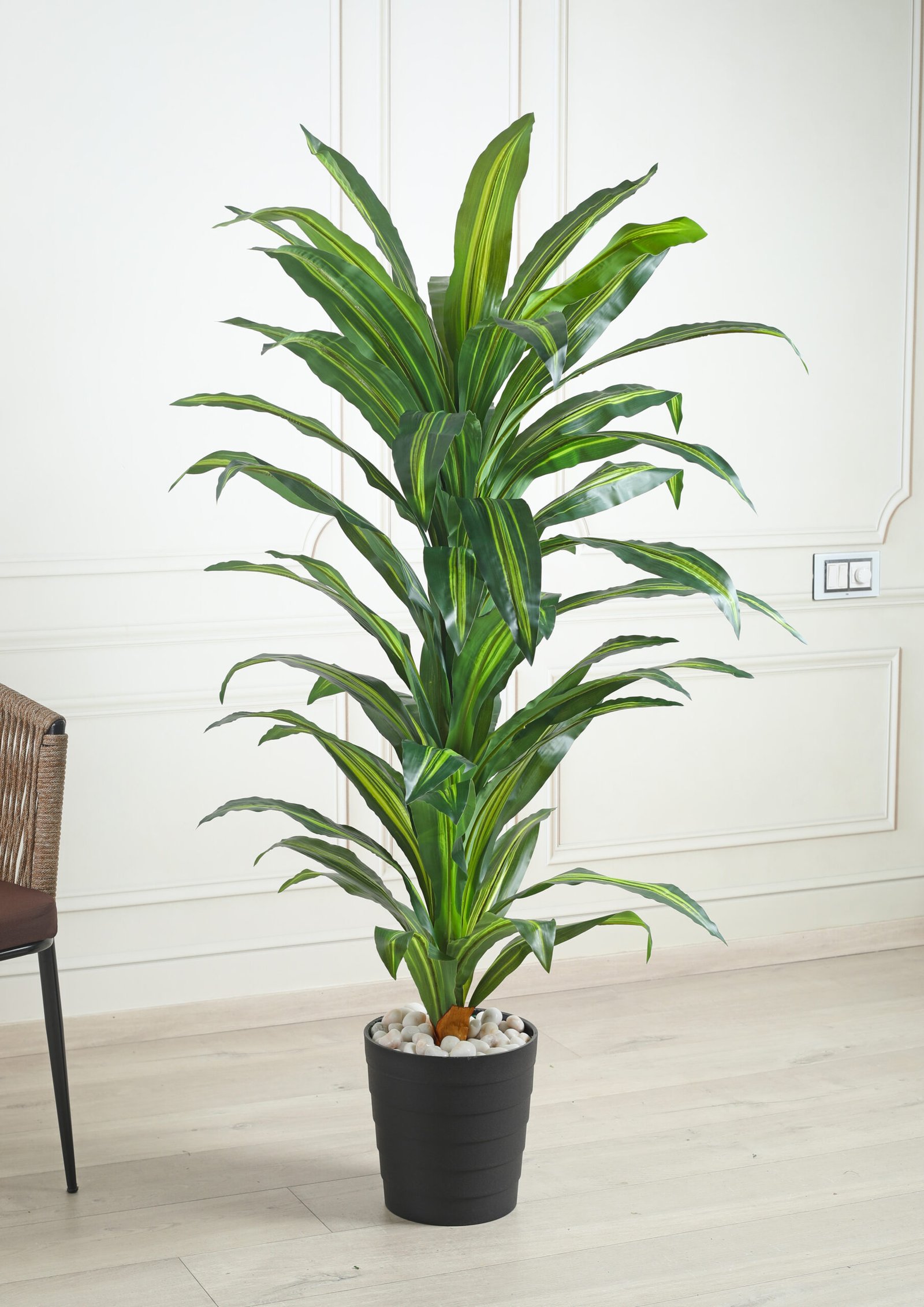 Deco World Artificial Dracaena Plant – 5.2 Feet