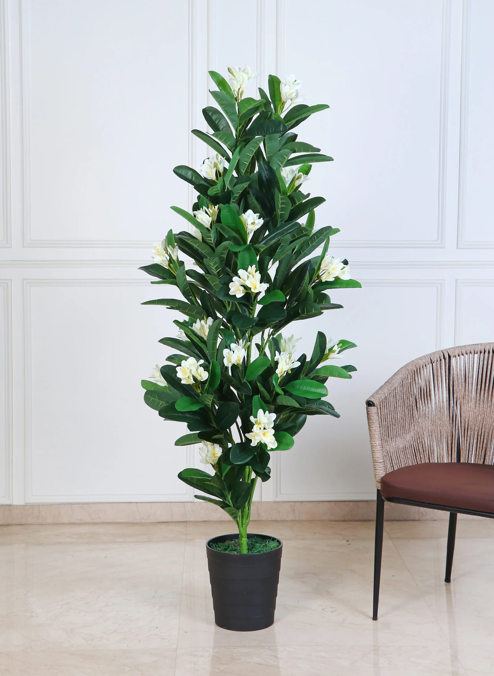 Deco World Artificial Frangipani Plant – 6 Feet, White